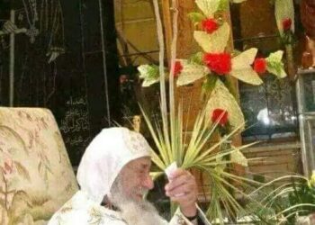 بعض الرموز والمعاني في أحد الشعانين