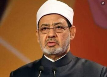 شيخ الازهر والنفقة علي الأسرة