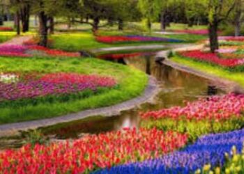 الربيع وألوانه