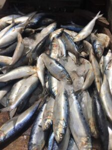 ارتفاع أسعار الأسماك يشوي جيوب الدمياطة