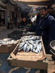 ارتفاع أسعار الأسماك يشوي جيوب الدمياطة