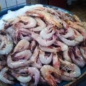 ارتفاع أسعار الأسماك يشوي جيوب الدمياطة