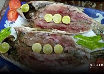 وجبة ملوحه تنهي حياة طفل وتصيب 3اخرين بتسمم غذائي بقنا