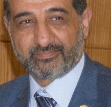 تطوير الموانئ يدفع الاقتصاد المصري إلى مصاف الدول المتقدمة