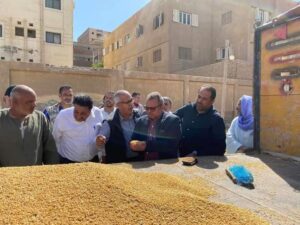 انتظام أعمال توريد القمح بشون وصوامع 