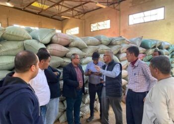 انتظام أعمال توريد القمح بشون وصوامع