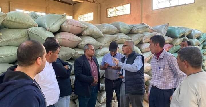 انتظام أعمال توريد القمح بشون وصوامع