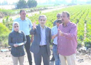 محافظ الغربية يتفقد محور النعناعية بكفر الزيات