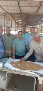 مدير الزراعة بالفيوم تتابع موسم حصاد وتوريد القمح