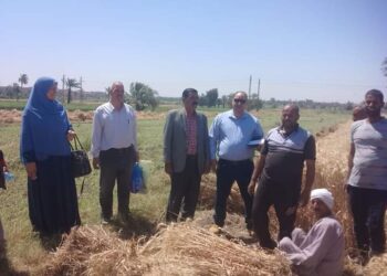 مدير الزراعة بالفيوم تتابع موسم حصاد وتوريد القمح