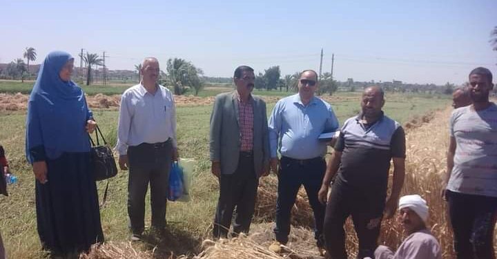 مدير الزراعة بالفيوم تتابع موسم حصاد وتوريد القمح