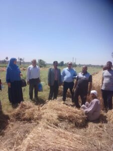 مدير الزراعة بالفيوم تتابع موسم حصاد وتوريد القمح