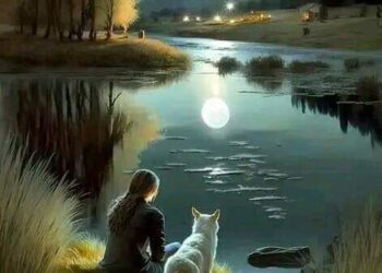 سبب نجاح مسلسل. أبو كلثوم