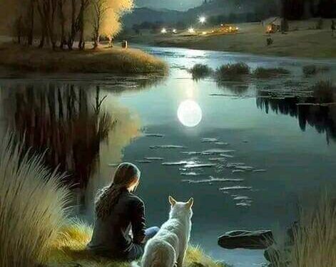 سبب نجاح مسلسل. أبو كلثوم