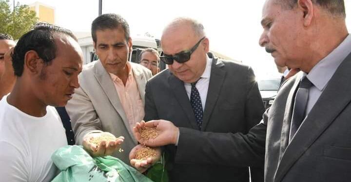 محافظ قنا يتابع استلام محصول القمح بصومعة الترامسة