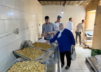 ضبط 250 كجم لحوم فاسدة ورفع 1900حالة اشغال