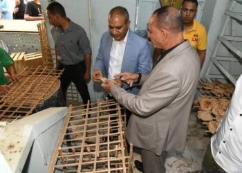 محافظ قنا يكلف السكرتير المساعد بتفقد عدد من المخابز