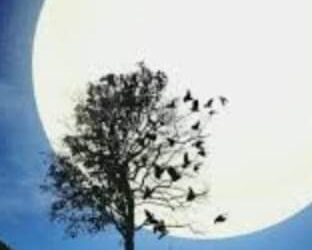 فقراء.. ولكن