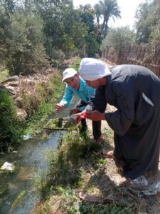 صحة أبشواي : جهود مكثفة لأعمال البلهارسيا والملاريا بنطاق مركز أبشواي