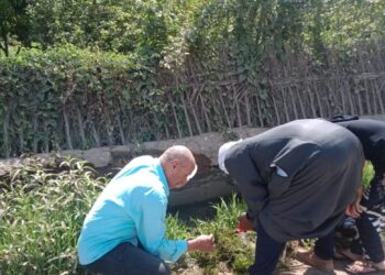 صحة أبشواي : جهود مكثفة لأعمال البلهارسيا والملاريا بنطاق مركز أبشواي