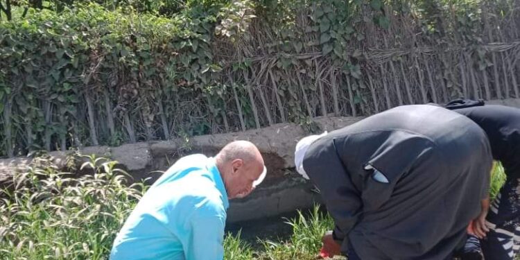 صحة أبشواي : جهود مكثفة لأعمال البلهارسيا والملاريا بنطاق مركز أبشواي