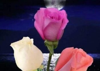 وبداخل كل شخص اخر..