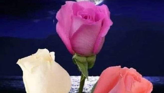 وبداخل كل شخص اخر..