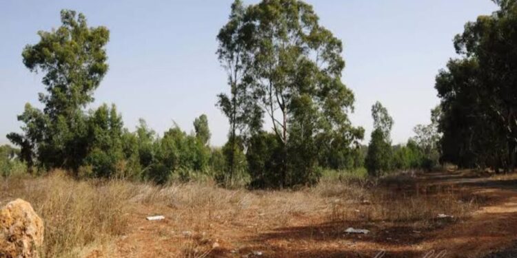 الرعاية متساوية