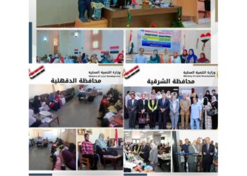 التنمية المحلية تتابع جهود الشرقية والدقهلية والاسماعيلية