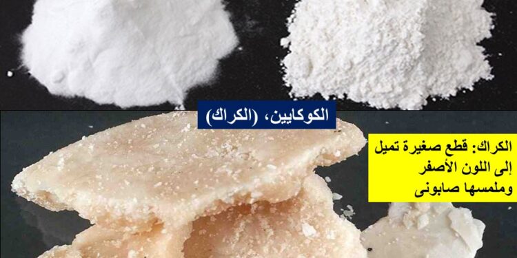 استهداف الحاويات، وطرق وأساليب مكافحة تهريب المخدرات