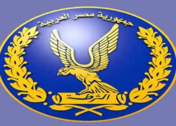 الداخلية تضبط أحد العناصر الإجرامية بالدقهلية