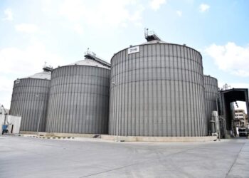 توريد 161 ألف 627 طن من القمح بمخازن الغربية بنسبة 92.6 %