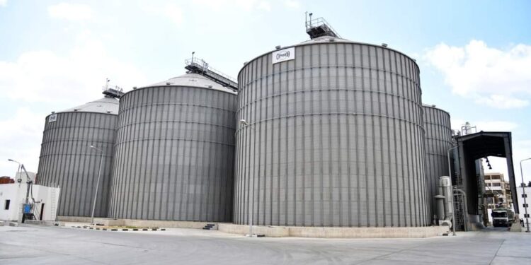 توريد 161 ألف 627 طن من القمح بمخازن الغربية بنسبة 92.6 %