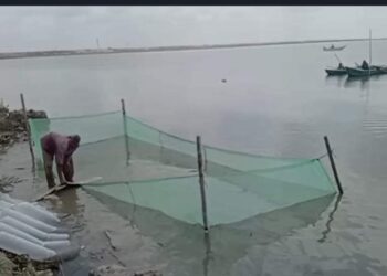 اللواء محمد الشريف محافظ الإسكندرية يشهد إلقاء 600 ألف زريعة أسماك ببحيرة مريوط