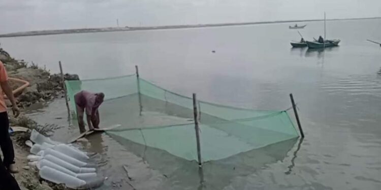 اللواء محمد الشريف محافظ الإسكندرية يشهد إلقاء 600 ألف زريعة أسماك ببحيرة مريوط