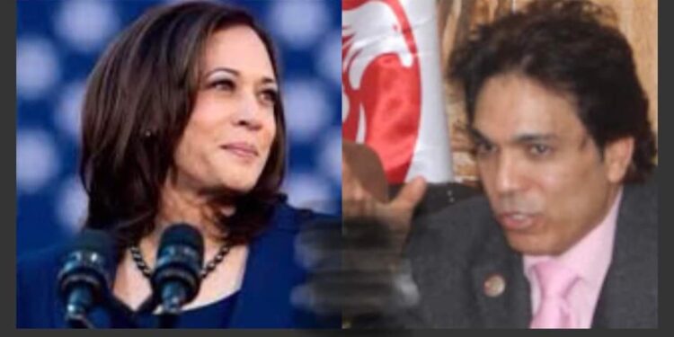 نائبة رئيس الولايات المتحدة «كامالا هاريس» والتمهيد لرئاسة أمريكا