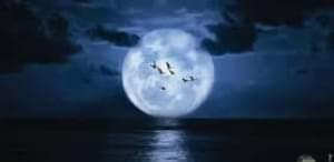 فإن الكلمة..أمانة 