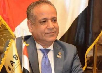 المصريون الأفارقة تعقد ورشة العمل المشترك للقطاع الخاص المصري السوداني بعنوان” معاً وقت الأزمات”