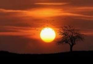 زواج ام عقاب..