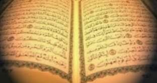 الغني والفقير