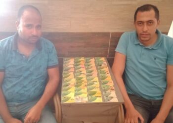 ضبط ٤٨ بطاقة تموينية بأحد المخابز البلدية للاستغلال بالسوق السودا بالأسكندرية