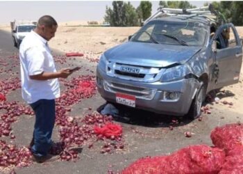 إصابة سائق سيارة  نقل محملة بـ” البصل “في الطريق الصحراوي بقنا