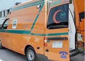 انتحار سيدة بحبة حفظ الغلال من مركز البلينا