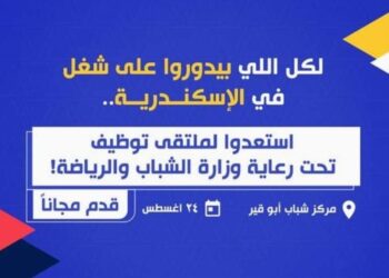 وزارة الشباب تنظم ملتقي التوظيف بمركز شباب أبي قير