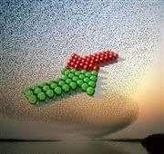 عجبٌ علي حالي