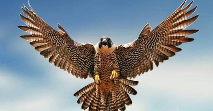 نسمات الحق تبشرنا