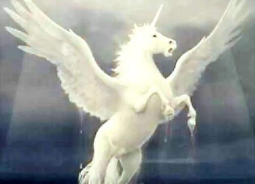 لي في خيالي مجنحٌ