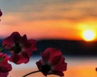 نحن لا نرى الأشياء كما هي.