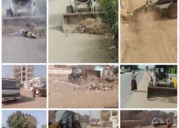 راشد يكافئ رئيس الوحدة المحلية لقرية ميت القايد