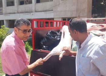 ضبط  لحوم مذبوحة خارج المجازر وكبدة فاسدة